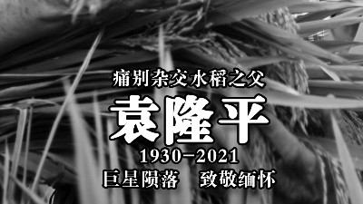 國士無雙，緬懷袁隆平