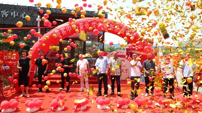金彩山酒文化園游客中心開(kāi)業(yè)慶典暨新品發(fā)布會(huì)盛大開(kāi)幕