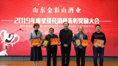 公司隆重召開2019年度星級經(jīng)銷商表彰獎勵大會