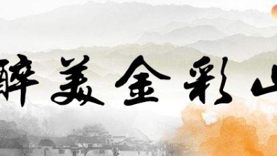 金彩山酒、千杯不醉、白酒行業(yè)中的佼佼者
