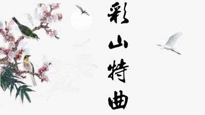 濃香型白酒代理，金彩山是你不錯(cuò)的選擇