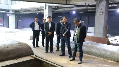 省政府安委會(huì) 來(lái)公司督導(dǎo)檢查安全生產(chǎn)工作
